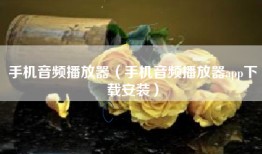 手机音频播放器（手机音频播放器app下载安装）
