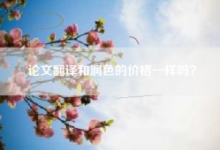 论文翻译和润色的价格一样吗？