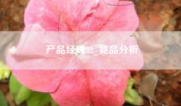 产品经理02_竞品分析