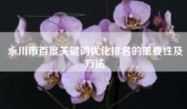 永川市百度关键词优化排名的重要性及方法