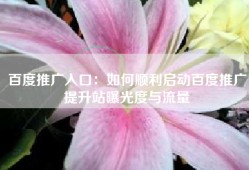 百度推广入口：如何顺利启动百度推广提升站曝光度与流量