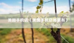 美图手机店（美图手机店哪里有）