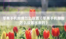 苹果手机圈圈怎么设置（苹果手机圈圈怎么设置出来的）