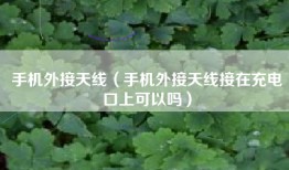 手机外接天线（手机外接天线接在充电口上可以吗）