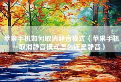 苹果手机如何取消静音模式（苹果手机取消静音模式怎么还是静音）