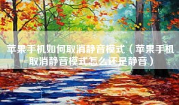 苹果手机如何取消静音模式（苹果手机取消静音模式怎么还是静音）
