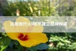 运用现代SEO技术建立品牌权威