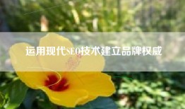 运用现代SEO技术建立品牌权威