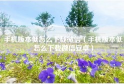 手机版本低怎么下载微信（手机版本低怎么下载微信安卓）