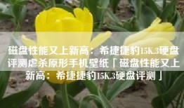 磁盘性能又上新高：希捷捷豹15K.3硬盘评测虐杀原形手机壁纸「磁盘性能又上新高：希捷捷豹15K.3硬盘评测」