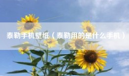泰勒手机壁纸（泰勒用的是什么手机）