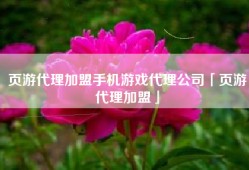 页游代理加盟手机游戏代理公司「页游代理加盟」