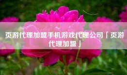 页游代理加盟手机游戏代理公司「页游代理加盟」