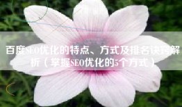 百度SEO优化的特点、方式及排名诀窍解析（掌握SEO优化的5个方式）