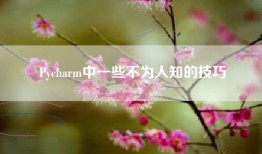 Pycharm中一些不为人知的技巧