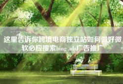 这里告诉你跨境电商独立站如何做好微软必应搜索bing ads广告推广