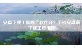 安卓下载工具哪个软件好？手机安卓端下载工具推荐
