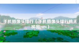 手机摄像头排行（手机摄像头排行榜天梯图2024）