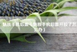 魅族手机后盖（魅族手机后盖开胶了怎么办）