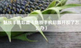 魅族手机后盖（魅族手机后盖开胶了怎么办）
