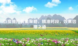 百度推广黄金策略，精准时段，效果倍增之道