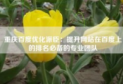 重庆百度优化派臣：提升网站在百度上的排名必备的专业团队