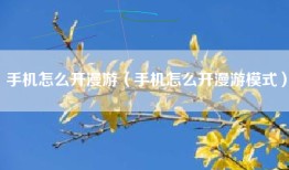 手机怎么开漫游（手机怎么开漫游模式）
