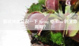 面试突击：说一下 Spring 中 Bean 的生命周期？