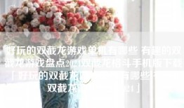 好玩的双截龙游戏单机有哪些 有趣的双截龙游戏盘点2024双截龙格斗手机版下载「好玩的双截龙游戏单机有哪些 有趣的双截龙游戏盘点2024」