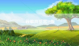 谷歌浏览器89版