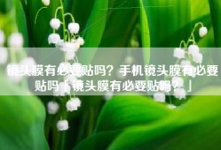 镜头膜有必要贴吗？手机镜头膜有必要贴吗「镜头膜有必要贴吗？」