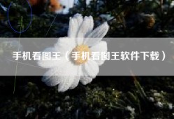 手机看图王（手机看图王软件下载）