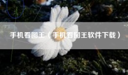手机看图王（手机看图王软件下载）