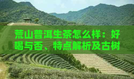 荒山普洱生茶怎么样：好喝与否、特点解析及古树老树价格一览