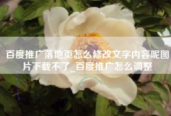 百度推广落地页怎么修改文字内容呢图片下载不了_百度推广怎么调整