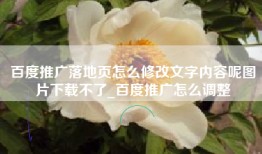 百度推广落地页怎么修改文字内容呢图片下载不了_百度推广怎么调整