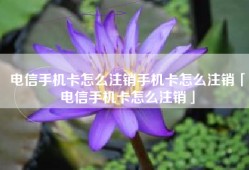 电信手机卡怎么注销手机卡怎么注销「电信手机卡怎么注销」