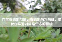 百度蜘蛛池引流：蜘蛛池的利与弊，揭秘蜘蛛池对网络生态的影响