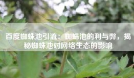 百度蜘蛛池引流：蜘蛛池的利与弊，揭秘蜘蛛池对网络生态的影响