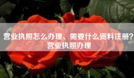 营业执照怎么办理、需要什么资料注册？ 营业执照办理