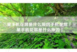 三星手机花屏是什么原因手机花屏「三星手机花屏是什么原因」
