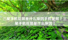 三星手机花屏是什么原因手机花屏「三星手机花屏是什么原因」