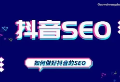 简单易赚钱，抖音垂直领域SEO赚钱指南
