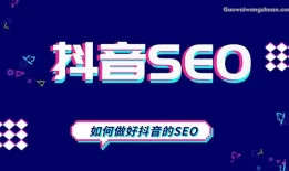 简单易赚钱，抖音垂直领域SEO赚钱指南