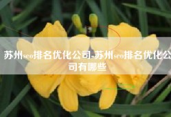 苏州seo排名优化公司-苏州seo排名优化公司有哪些