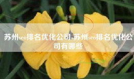 苏州seo排名优化公司-苏州seo排名优化公司有哪些