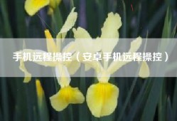 手机远程操控（安卓手机远程操控）