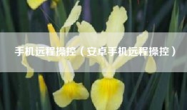 手机远程操控（安卓手机远程操控）