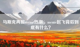 马斯克再掀meme热潮，meme起飞背后到底有什么？