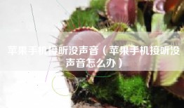 苹果手机接听没声音（苹果手机接听没声音怎么办）